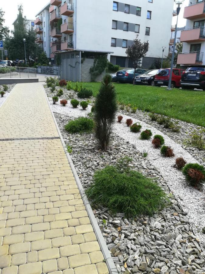 Apartament Włoska 4 Kraków